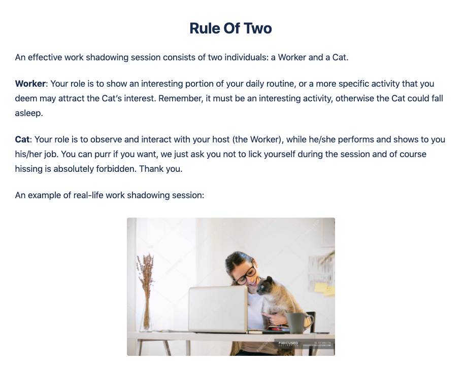Rule of Two - Work Shadowing Session